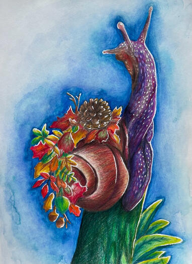 Autumn Metamorphosis - colored pencil & watercolor on 9x12 paper