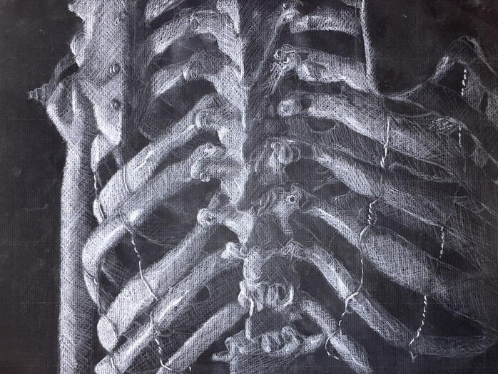 *Spine & Ribcage - white charcoal on black paper